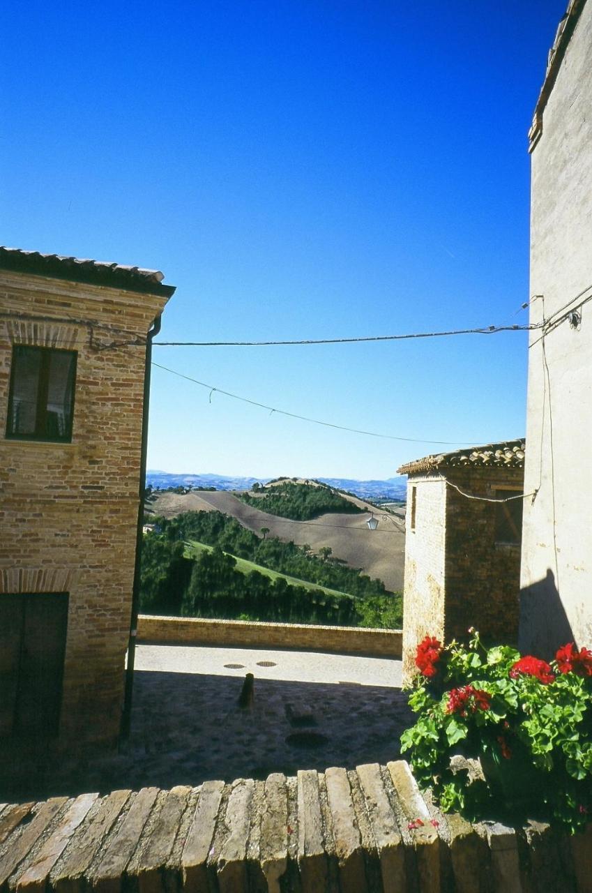 Agriturismo Pozzuolo Serrungarina Luaran gambar