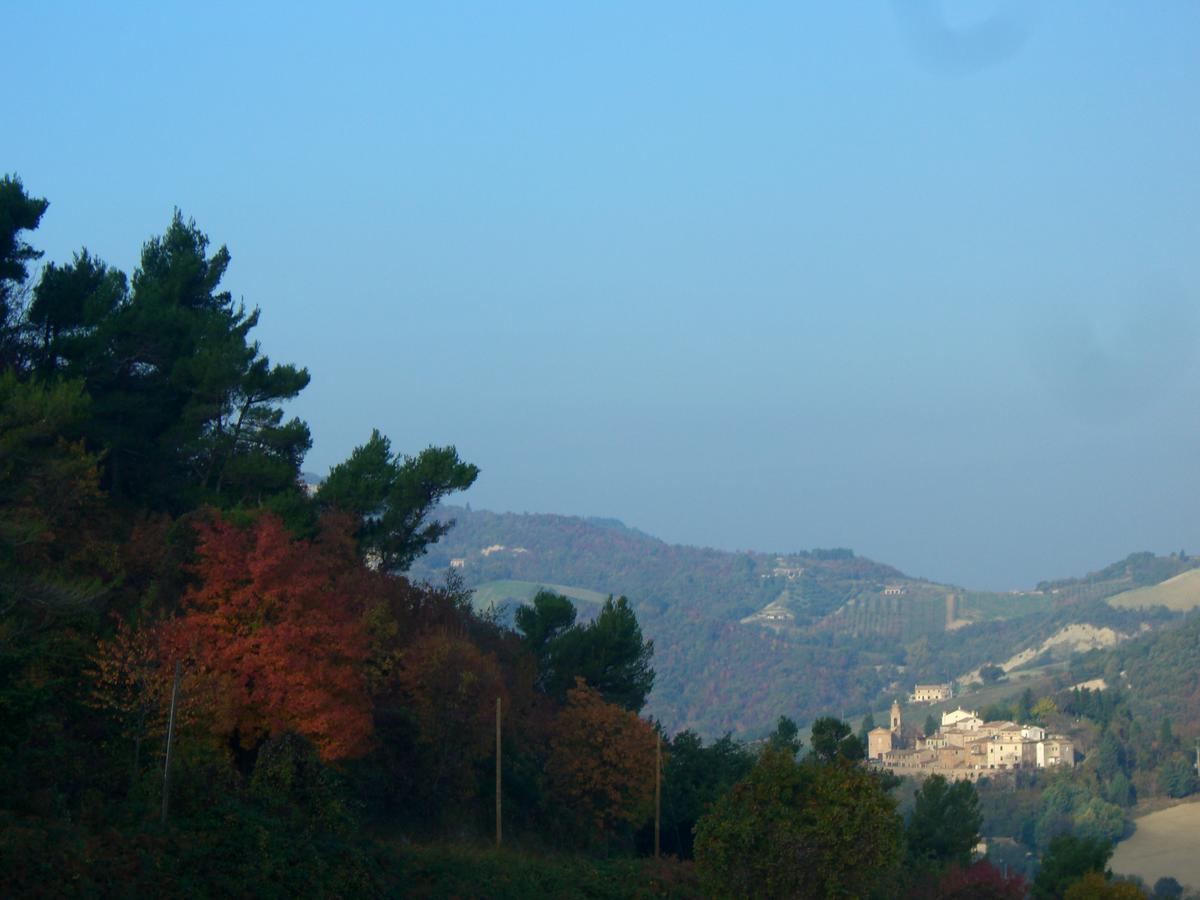 Agriturismo Pozzuolo Serrungarina Luaran gambar